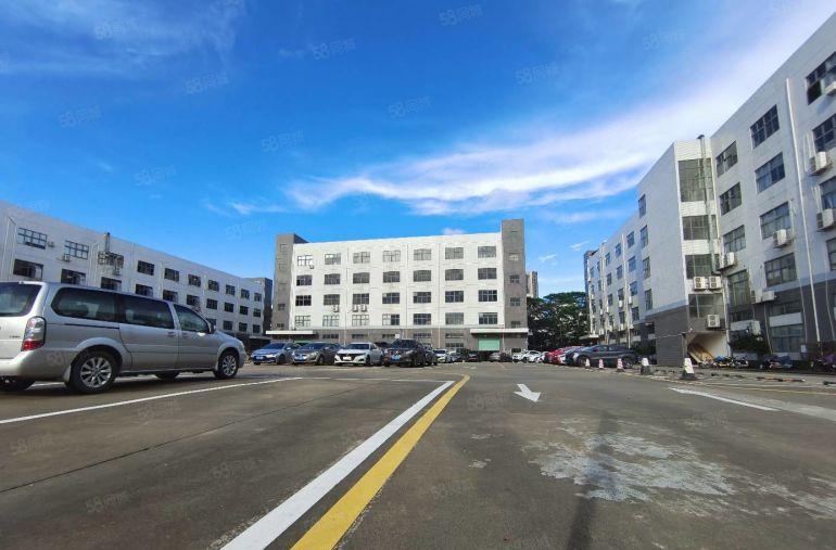 镇隆一楼1000平1800平实量面积 原房东厂房出租 可分租