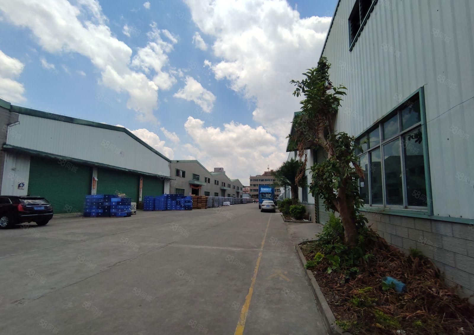 16元500平起租惠州镇隆20000平钢构厂房滴水9米高