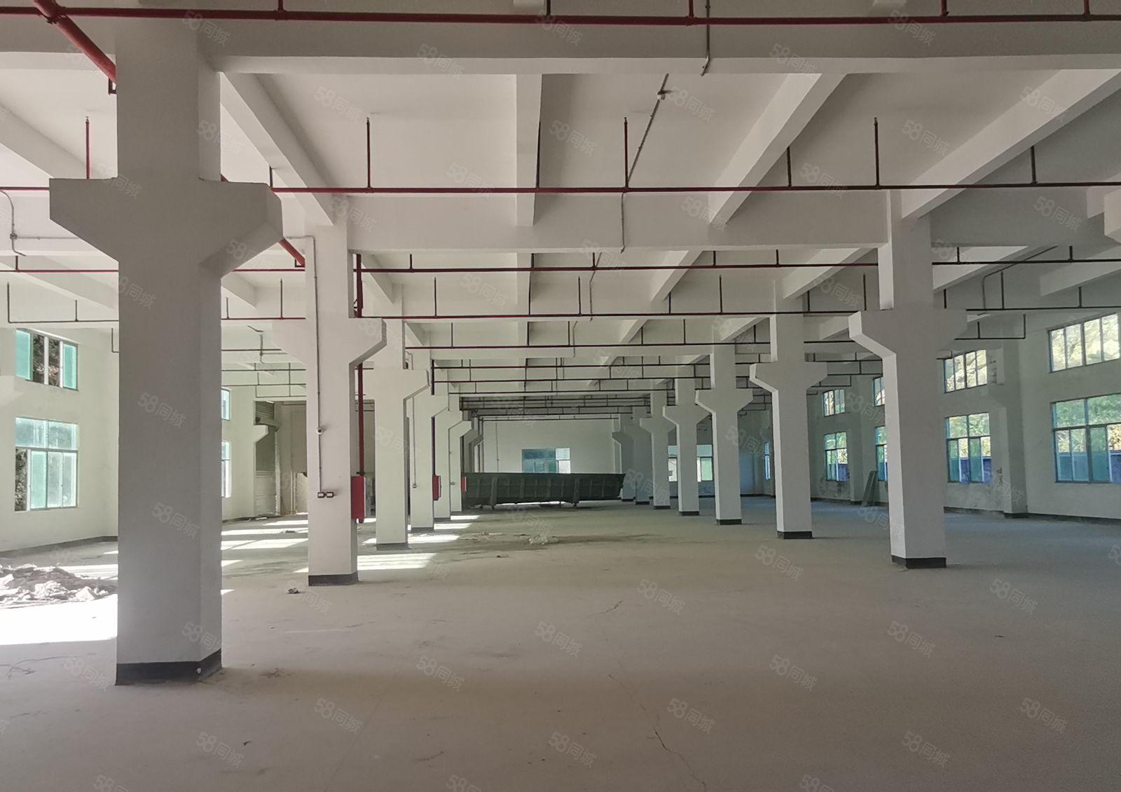 白花全新5万平重工业厂房出租仓库出租2000平分层高7.5米