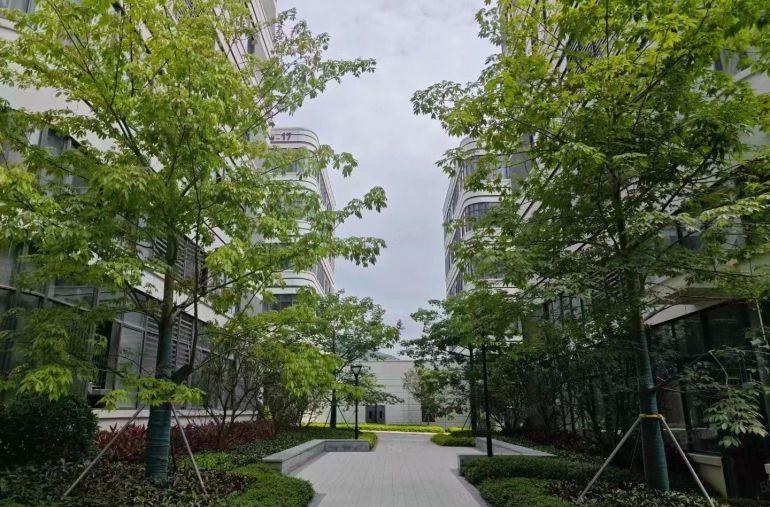 厂房出租7块仓库出租惠阳淡水北三和象岭工业园区联东开发商直租