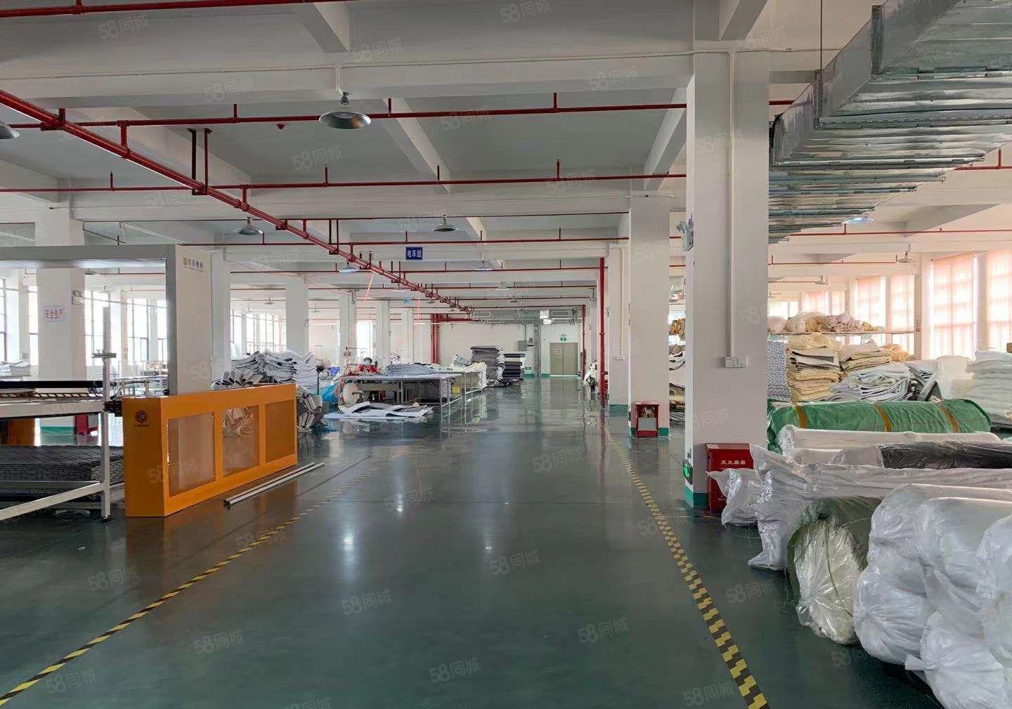 惠阳新出独院豪华装修标准厂房2600平