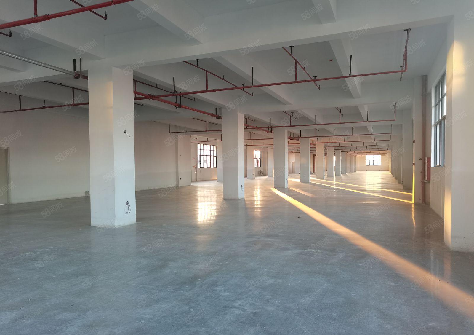 独院全新红本厂房出租，零公摊原房东，2000平方米起分租厂房