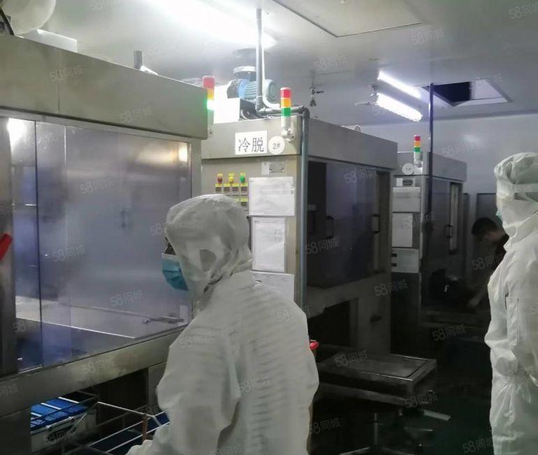 惠阳镇隆新出原房东现成千级无尘车间厂房出租