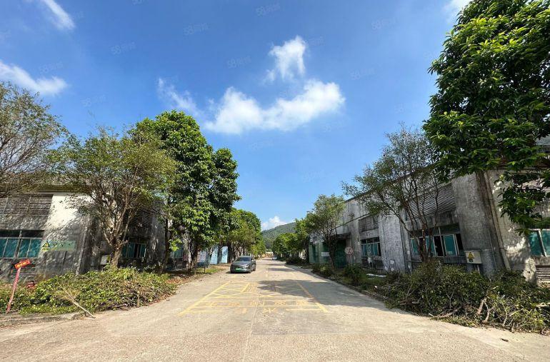 独院400平起租30000平任意分租可围独院超大空地