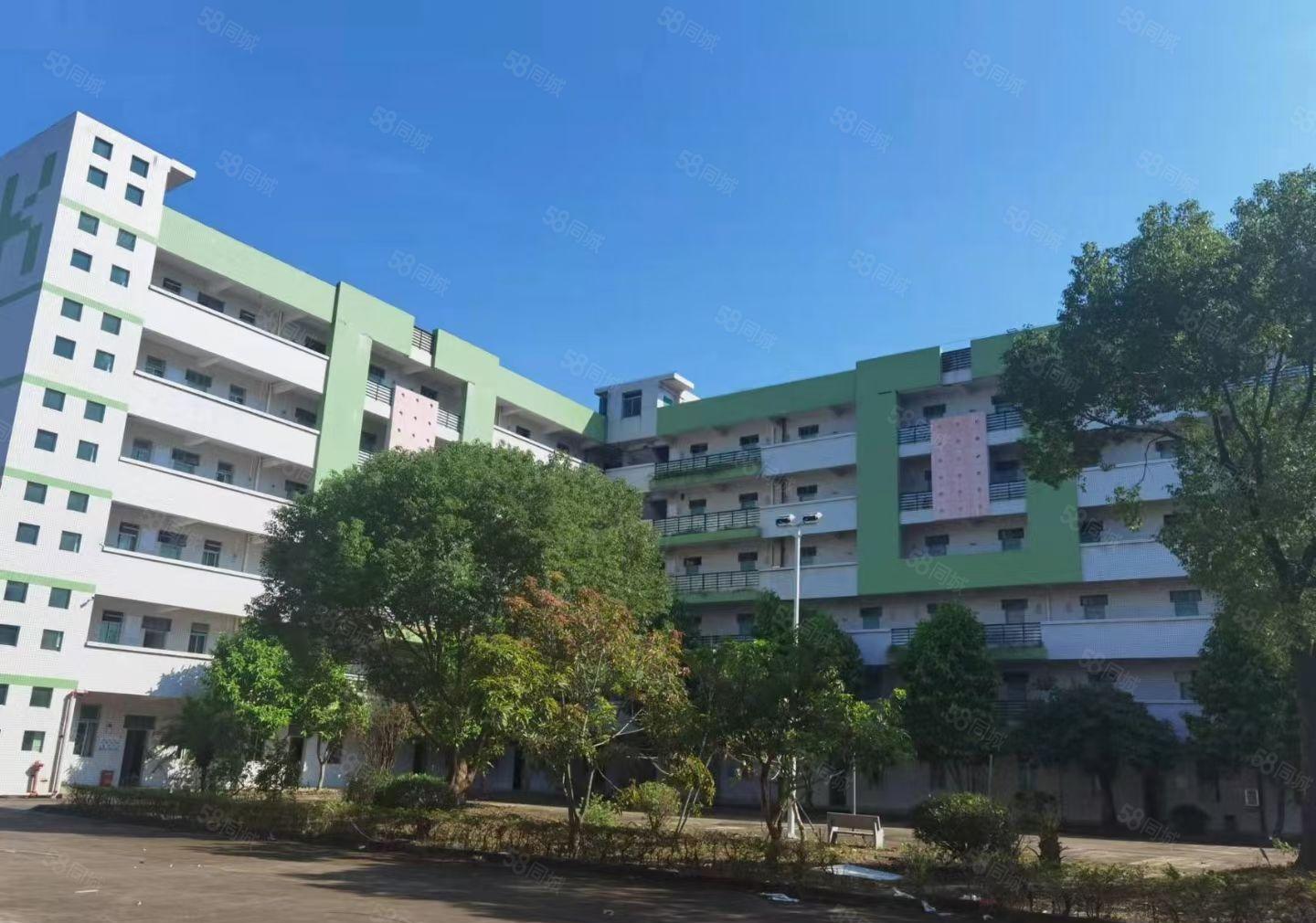 惠阳秋长大湾区28000平方花园式独门独院厂房