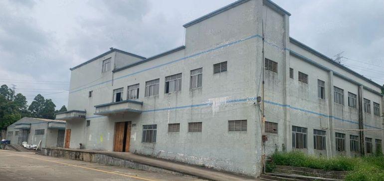 厂房出租沙田超大单一层钢构低价厂房15000平自带五金环评