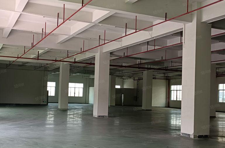 （一手业主招租）惠阳镇隆万里工业区红本独院标准厂房11300