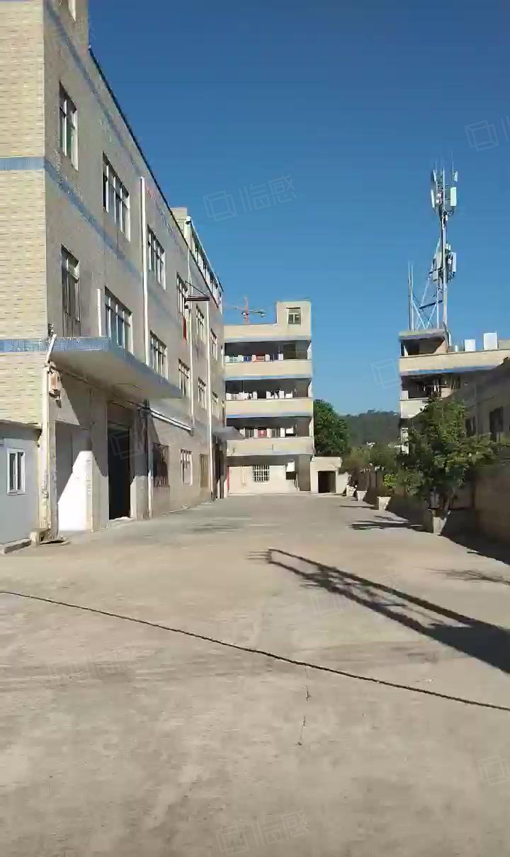 独门独院厂房标准5400平新圩塘吓国道边紧挨着深圳可办环评