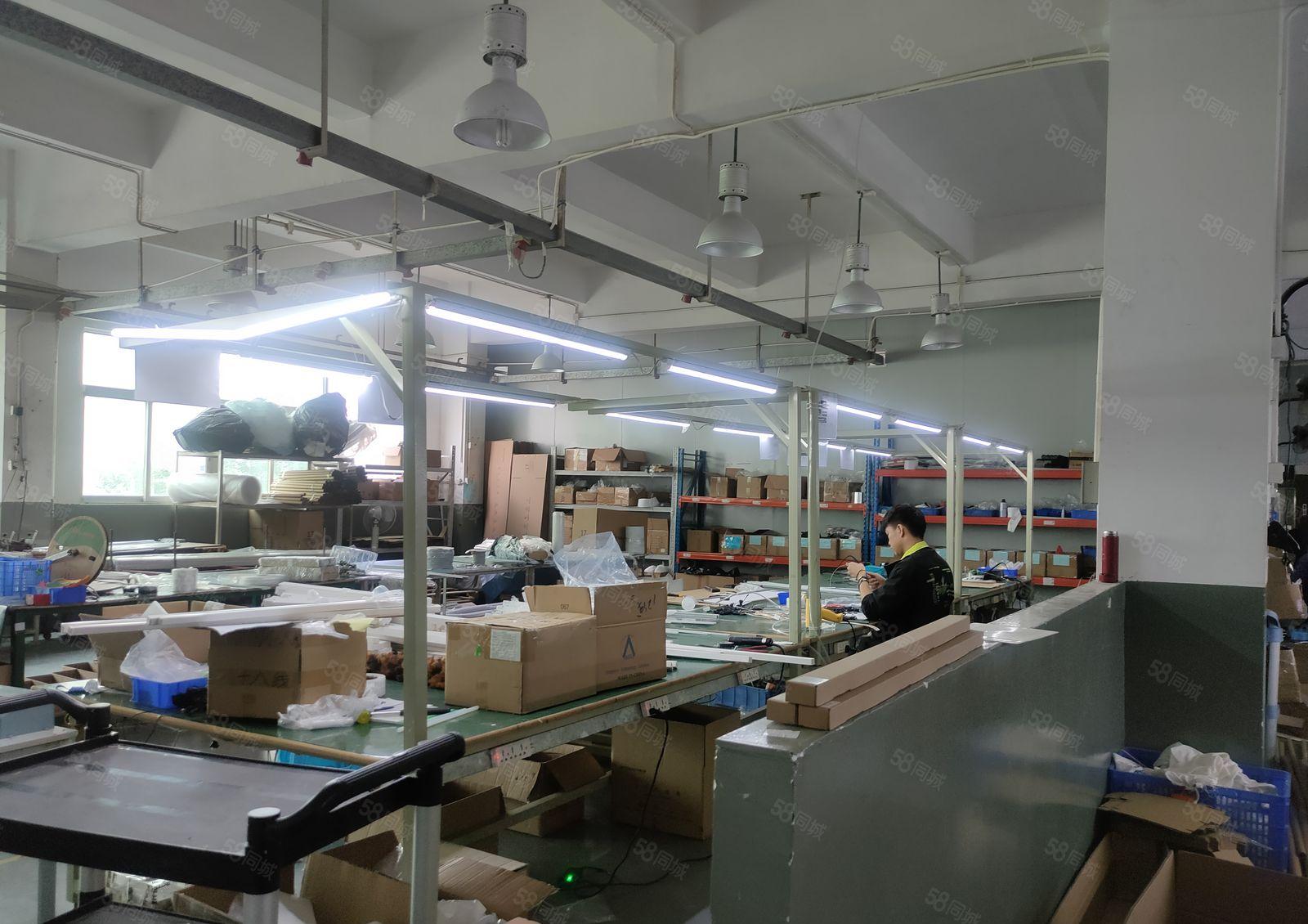 10元起镇隆8000平方原房东厂房出租仓库出租大小面积起分租