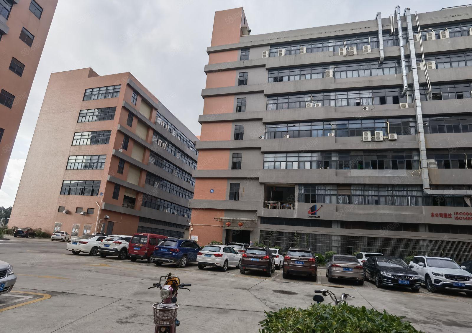 10元起租镇隆园区厂房豪华办公室装修1600平方空地大形象好