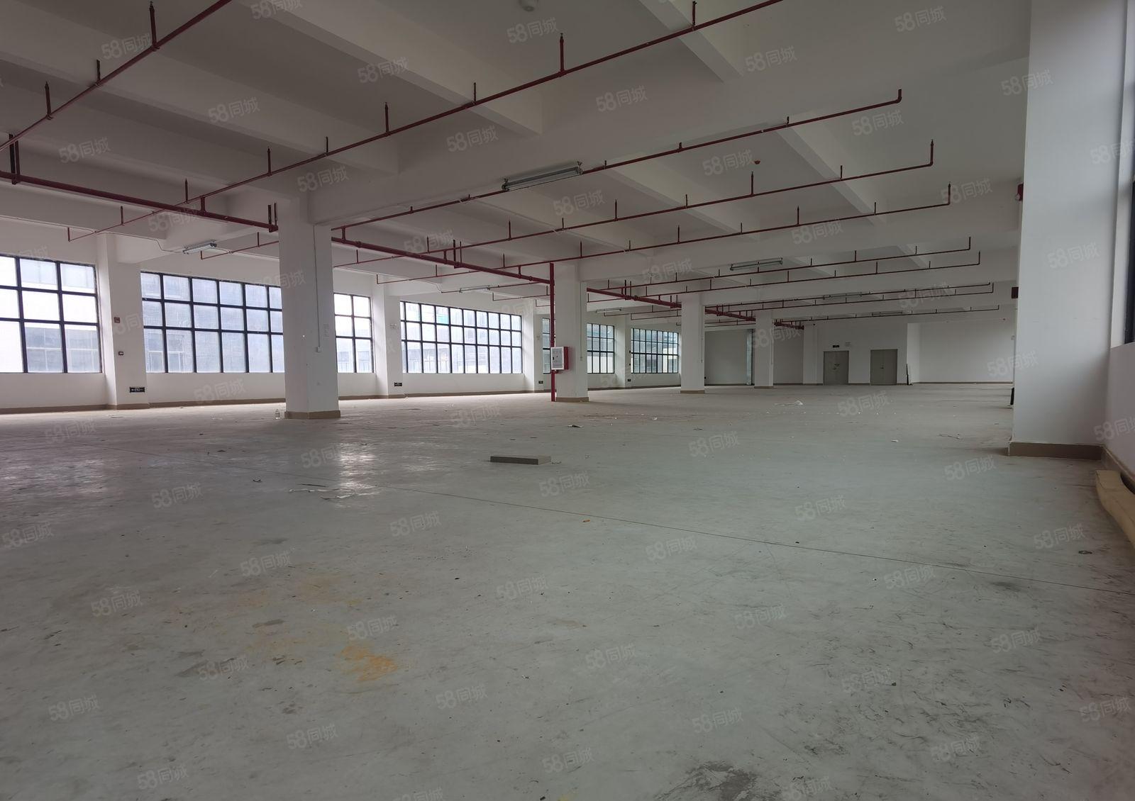 三和经济开发区1000工业园厂房招租，交通方便。拖车可掉头