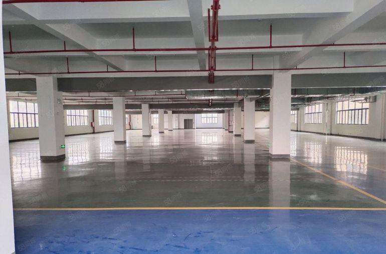 8元带装修！惠阳镇隆靠近沥林原房东厂房楼2000平方低价出租