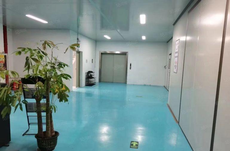 10元！惠阳秋长白石楼上带装修1000平厂房仓库出租，可分租