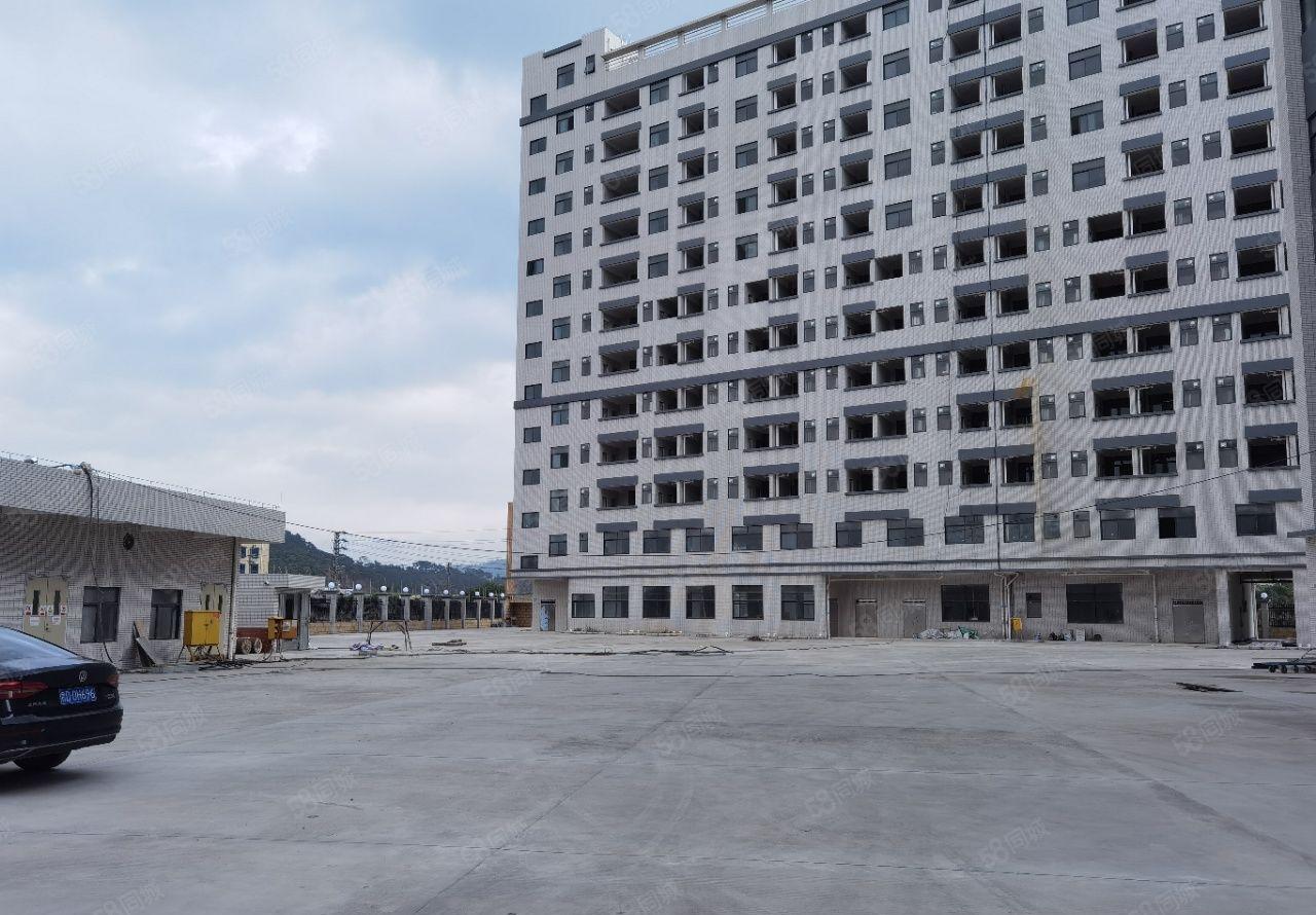 惠阳将军路口原房东红本新建厂房48000平米可分租