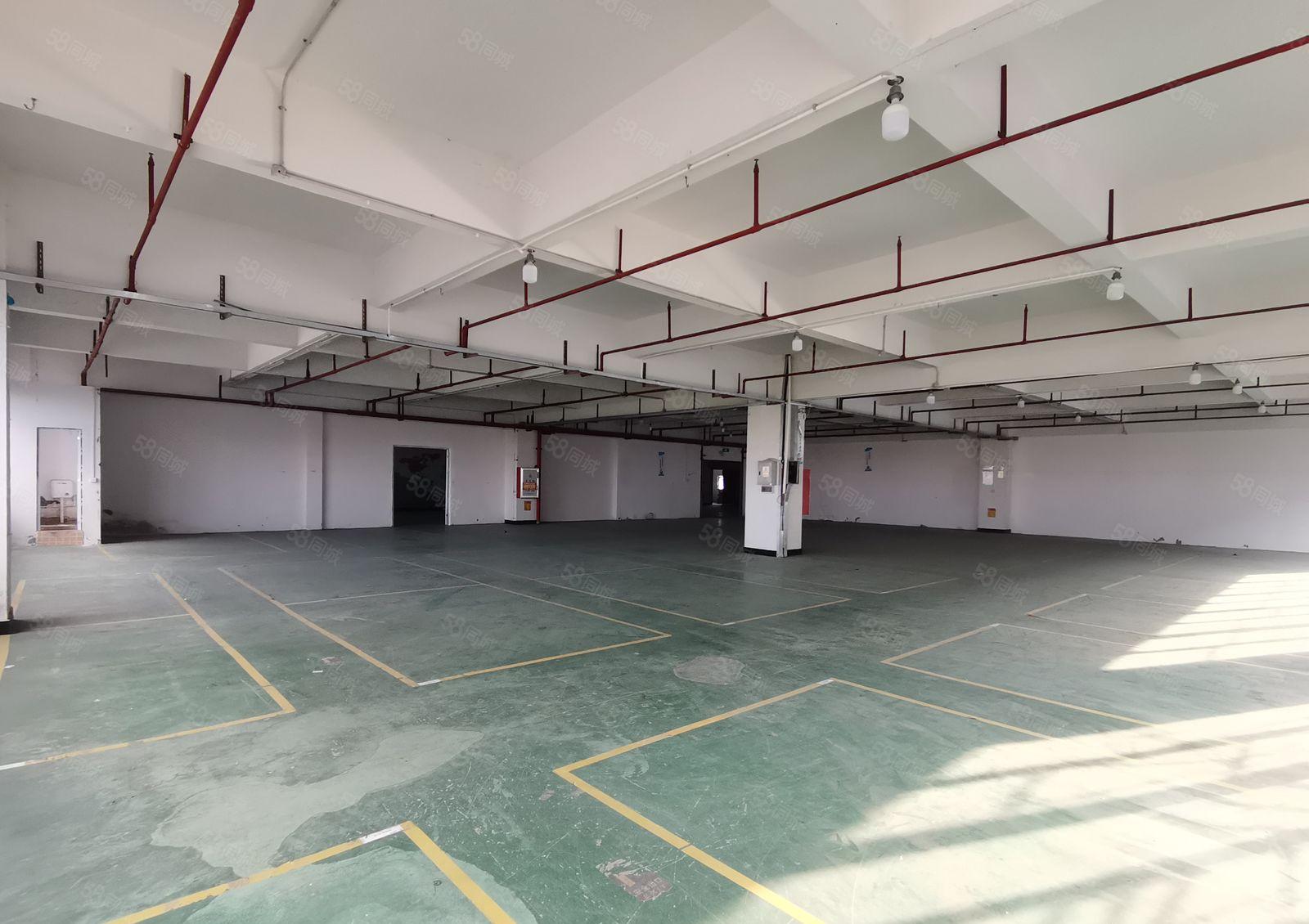 300平可分租新圩塘吓工业园区2000平方独院精装修厂房仓库