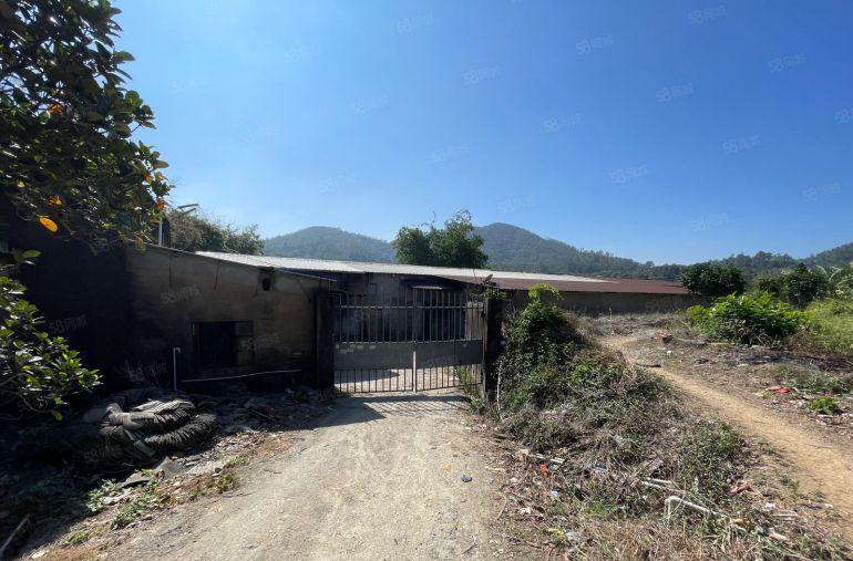 靠山边850平原房东独院钢构厂房