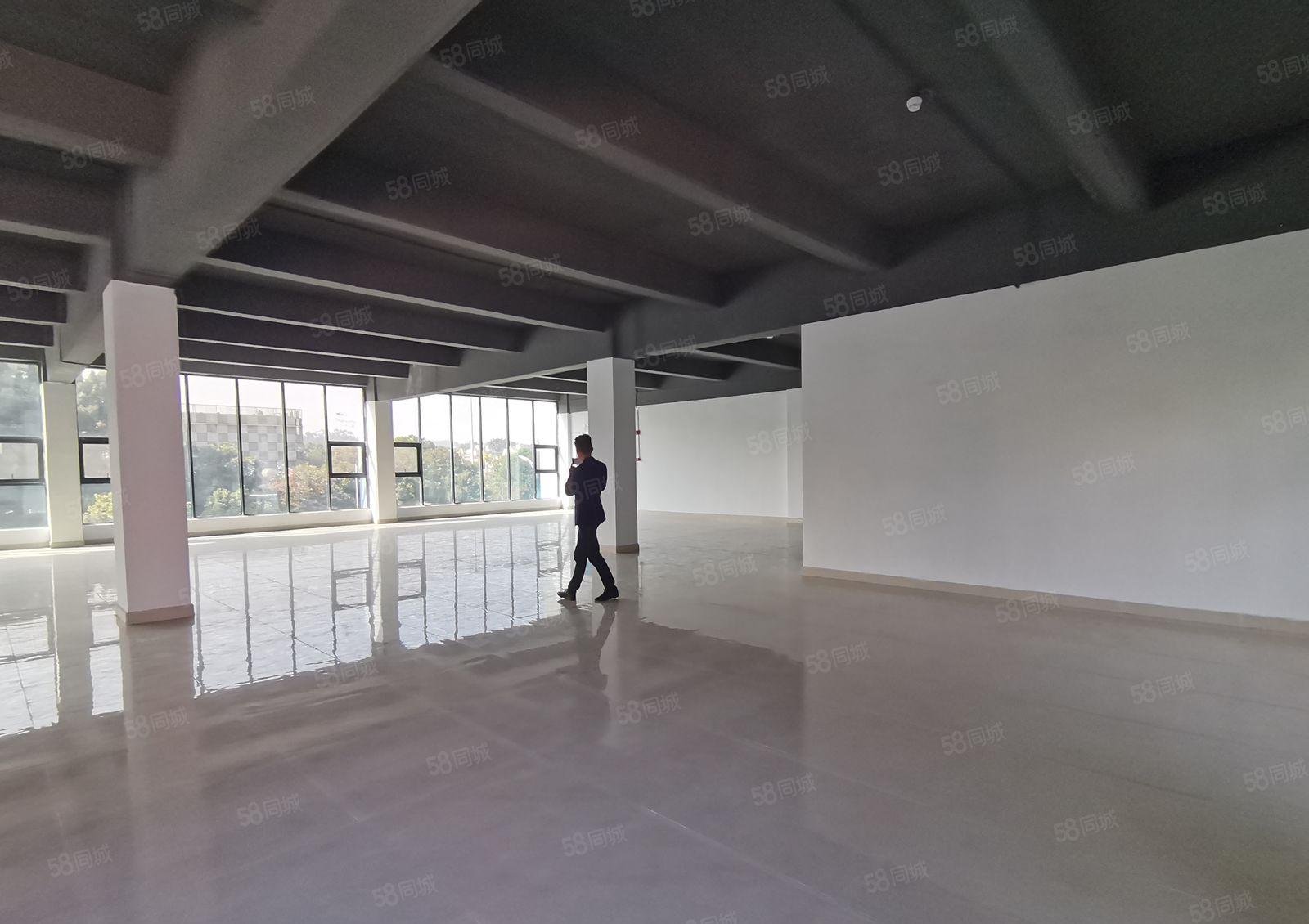 新墟花边岭工业区原房东1600平独栋仓库厂房出租可分租精装修