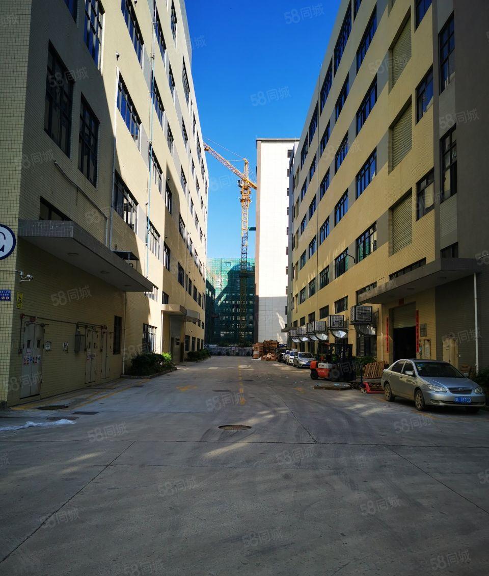 惠阳区成熟工业园产业园不限行业可分租可办环评证件齐全