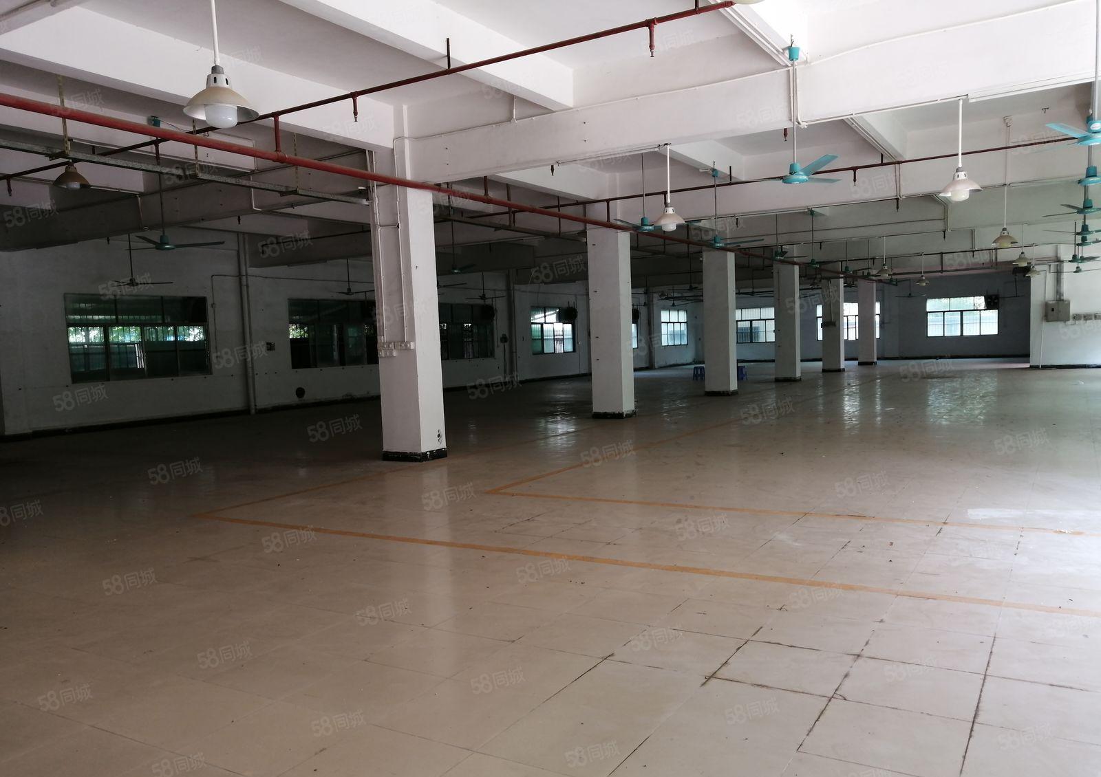 白石精装500平起租可做五金加工行业厂房大小面积可分租