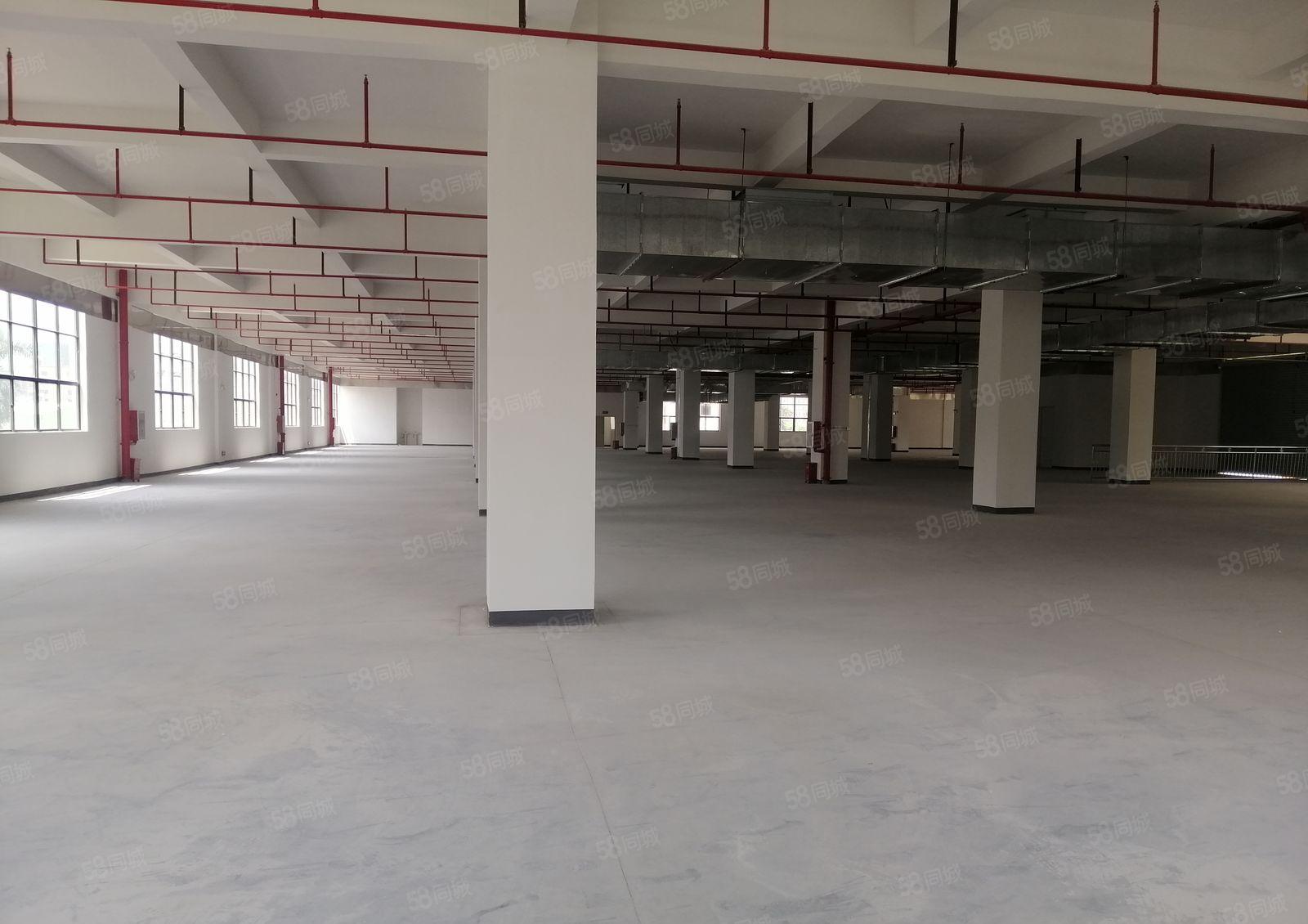 靠近深圳惠阳秋长镇标准厂房1至4楼9200平方形象好空地大