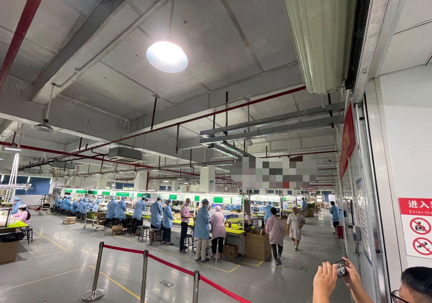 沙田镇长龙岗工业区全新2000标准无尘车间厂房出租，可分租