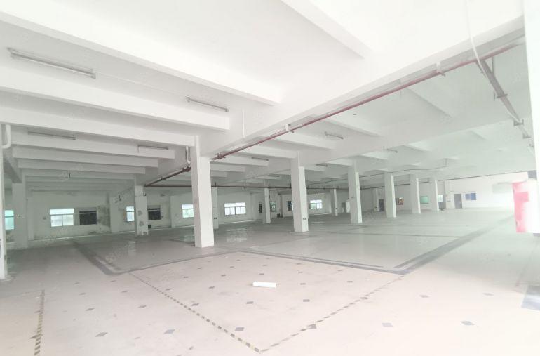 镇隆原房东实际面积出租花园式红本独院厂房15000平方空地大