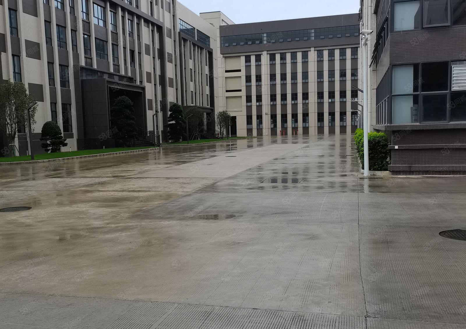 镇隆原房东全新工业区标准一楼2000平米厂房仓库出租可办环评