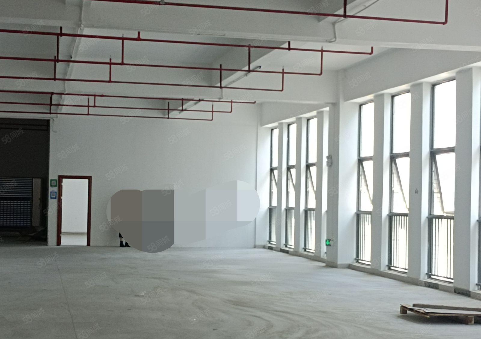 惠阳三和工业区800平物流仓库厂房出租