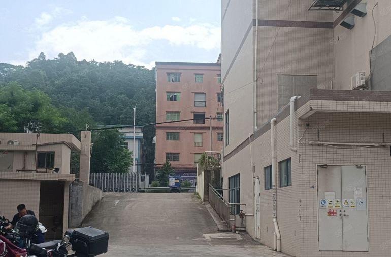 惠阳新圩红色干线边上红本标准厂房一楼750平