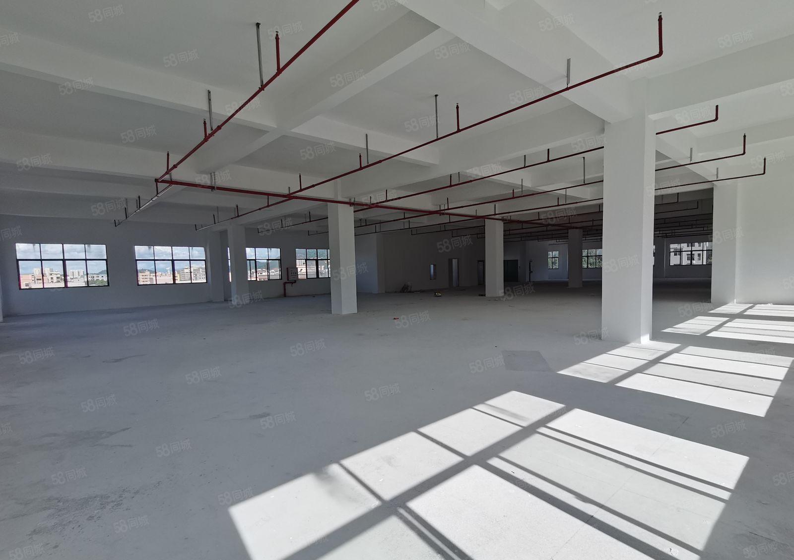 一楼800至2000平厂房，沙田独门独院厂房出租  可办环评