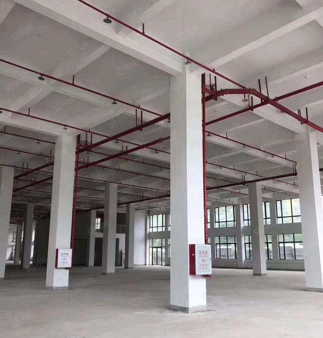 惠阳区秋长6米高一楼标准厂房面积2000平米出租