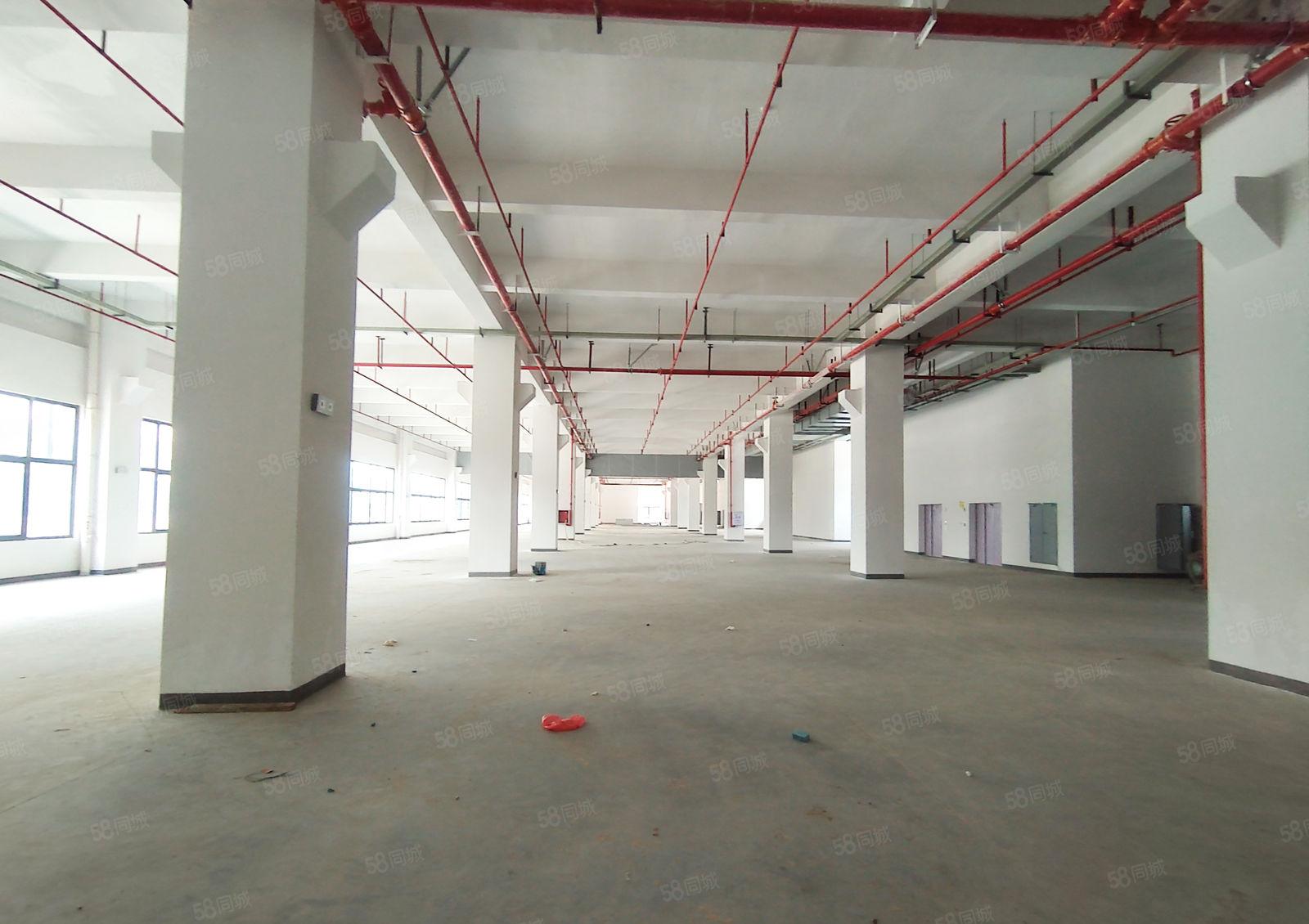 10元租惠阳淡水工业区红本厂房1600平方高速路口交通便利