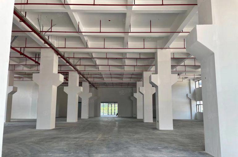 惠阳镇隆厂房出租130970平方可分四个独院