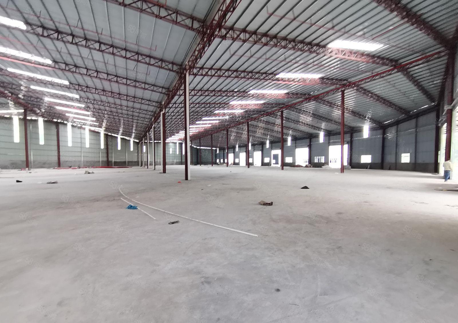 新墟创新工业区独栋15000平钢构仓库厂房出租可分租可办环评