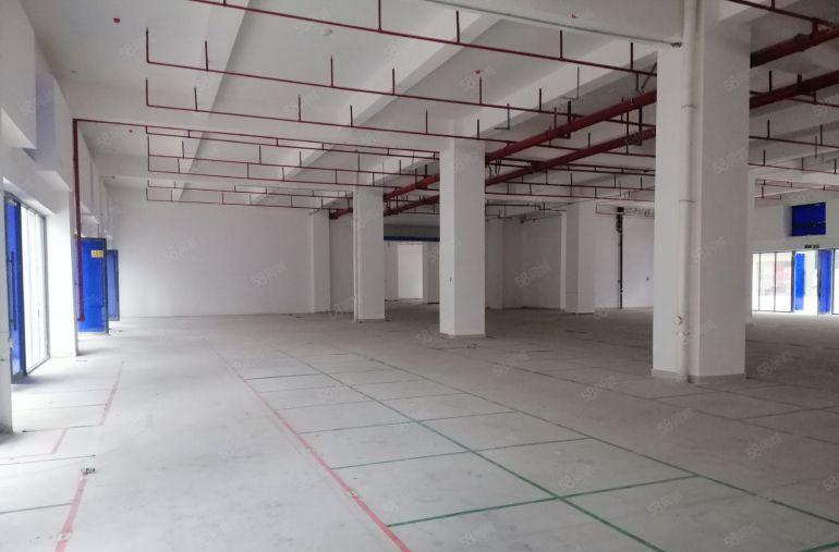 惠州惠阳区沙田镇红本独栋标准厂房35500平方大小分租形象好