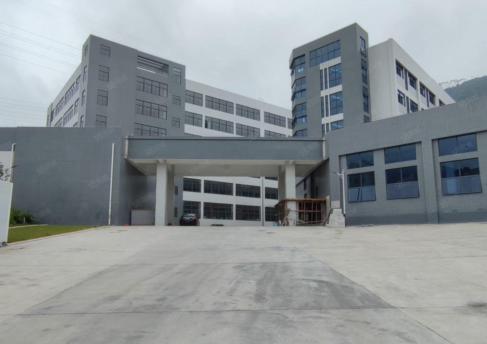 独立全新工业园出租镇中心68000平 可分租配套齐全