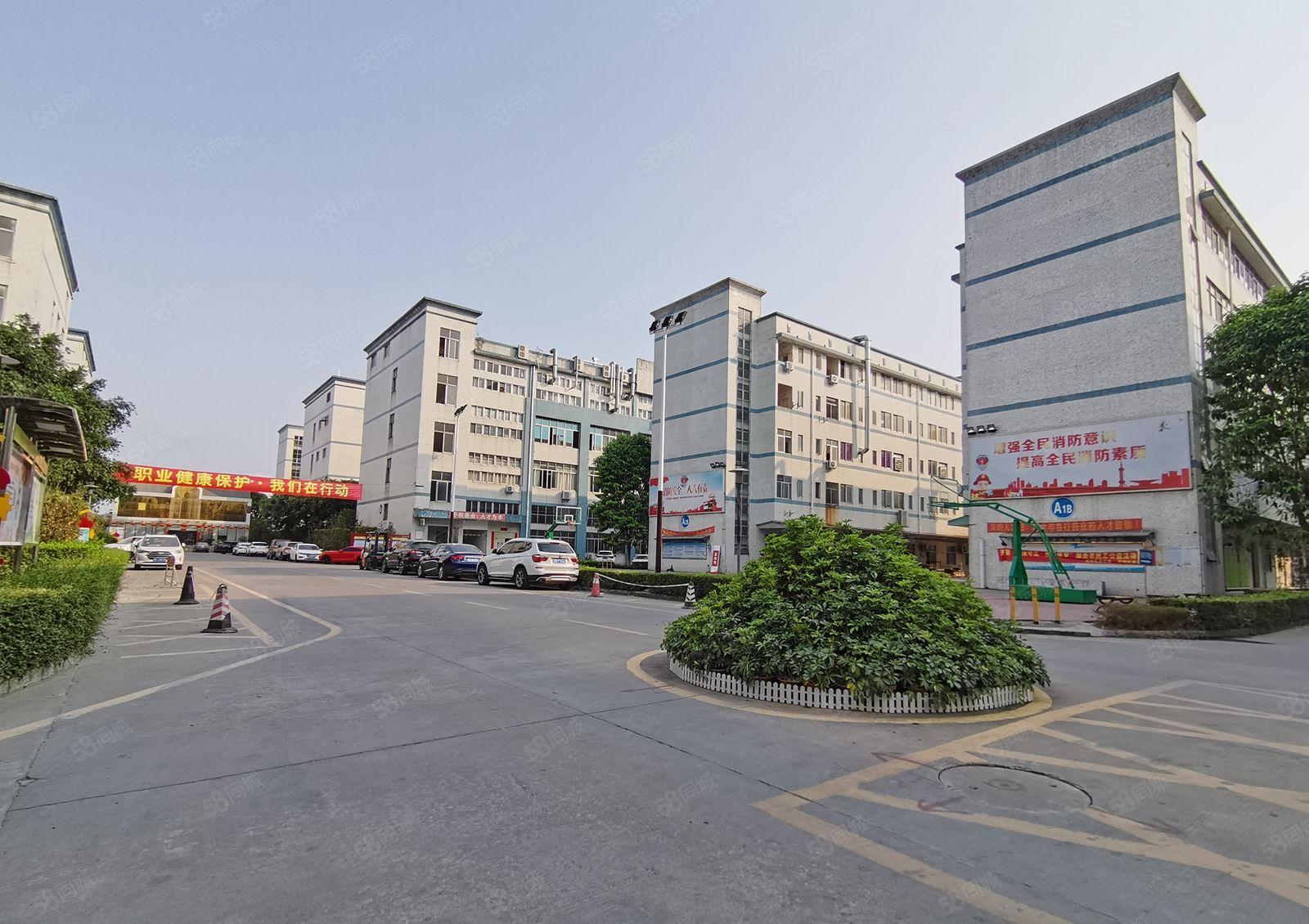 镇隆全新独门独院8000平一楼层高7米现成环评原房东厂房仓库