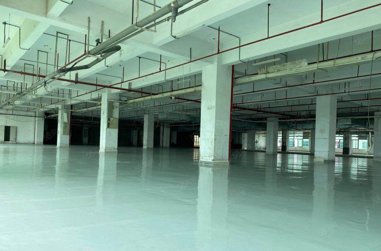 惠州镇隆原房东标准厂房出租