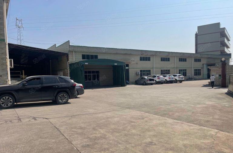 镇隆原房东单一层钢构1000平实际面积低价出租 好进大车