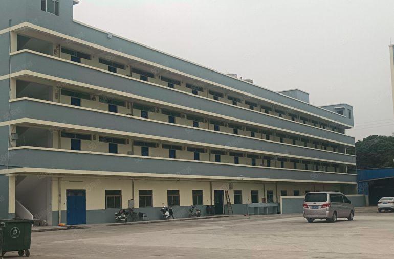 惠阳新圩新出靠山边红本标准厂房10000平方米出租