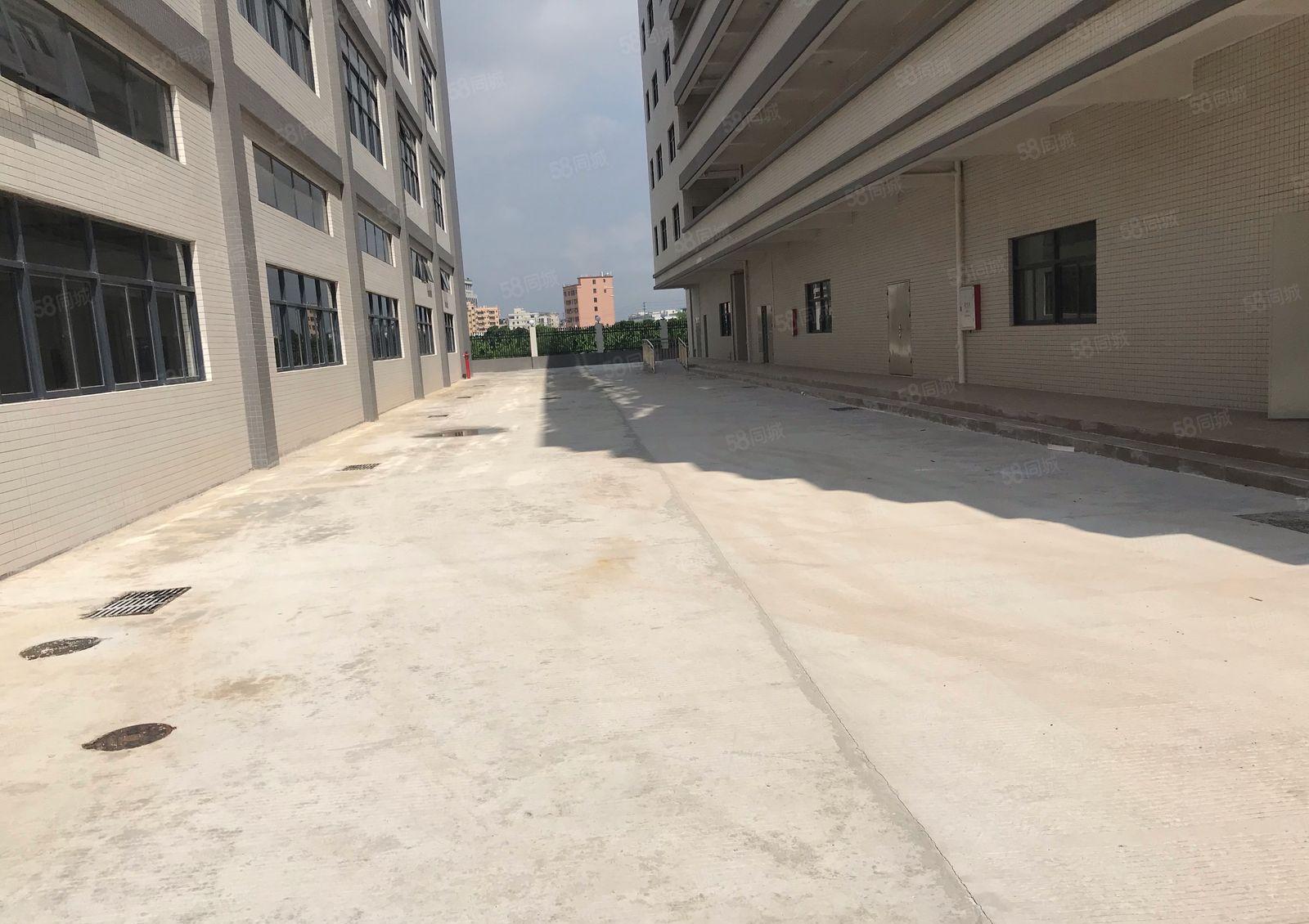 镇隆高速口全新厂房独栋8000平出租1000平起租