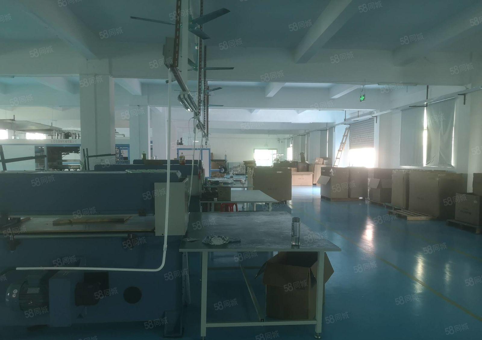 镇隆成熟工业区 原房东独院3600平厂房出租 豪华装修可分租