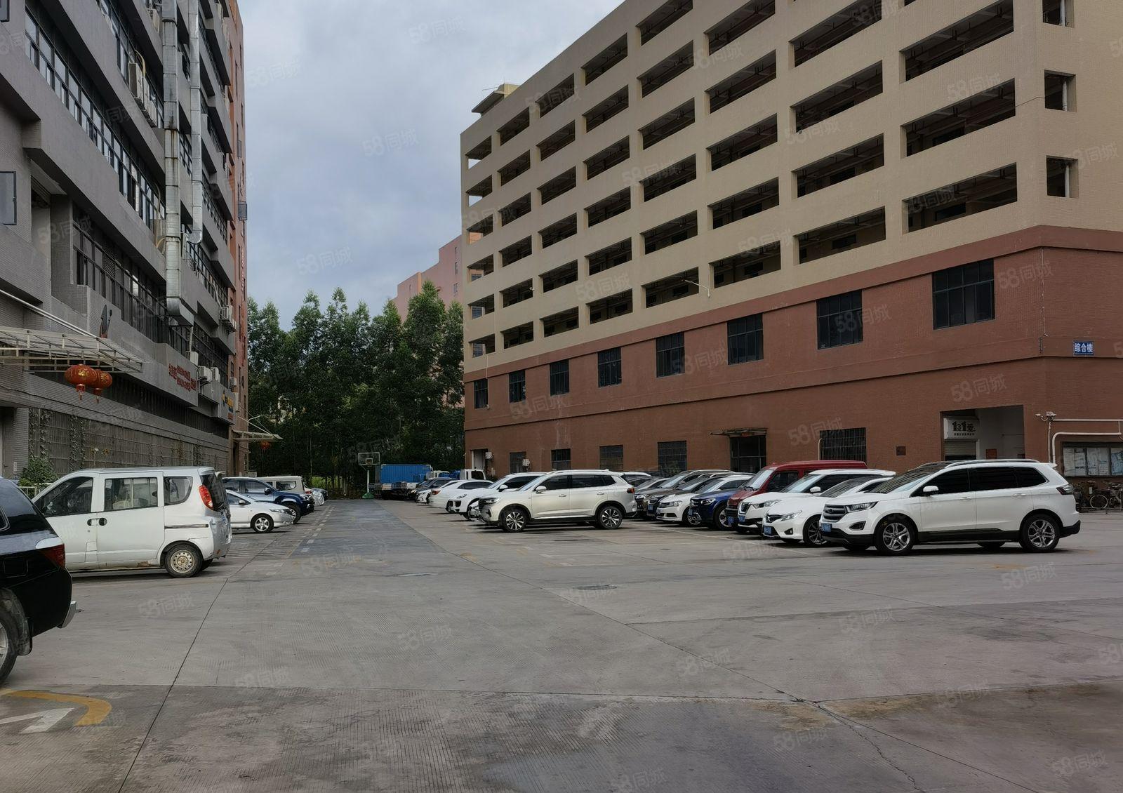 10元起租 镇隆第二工业园20000平方厂房仓库出租大小可分