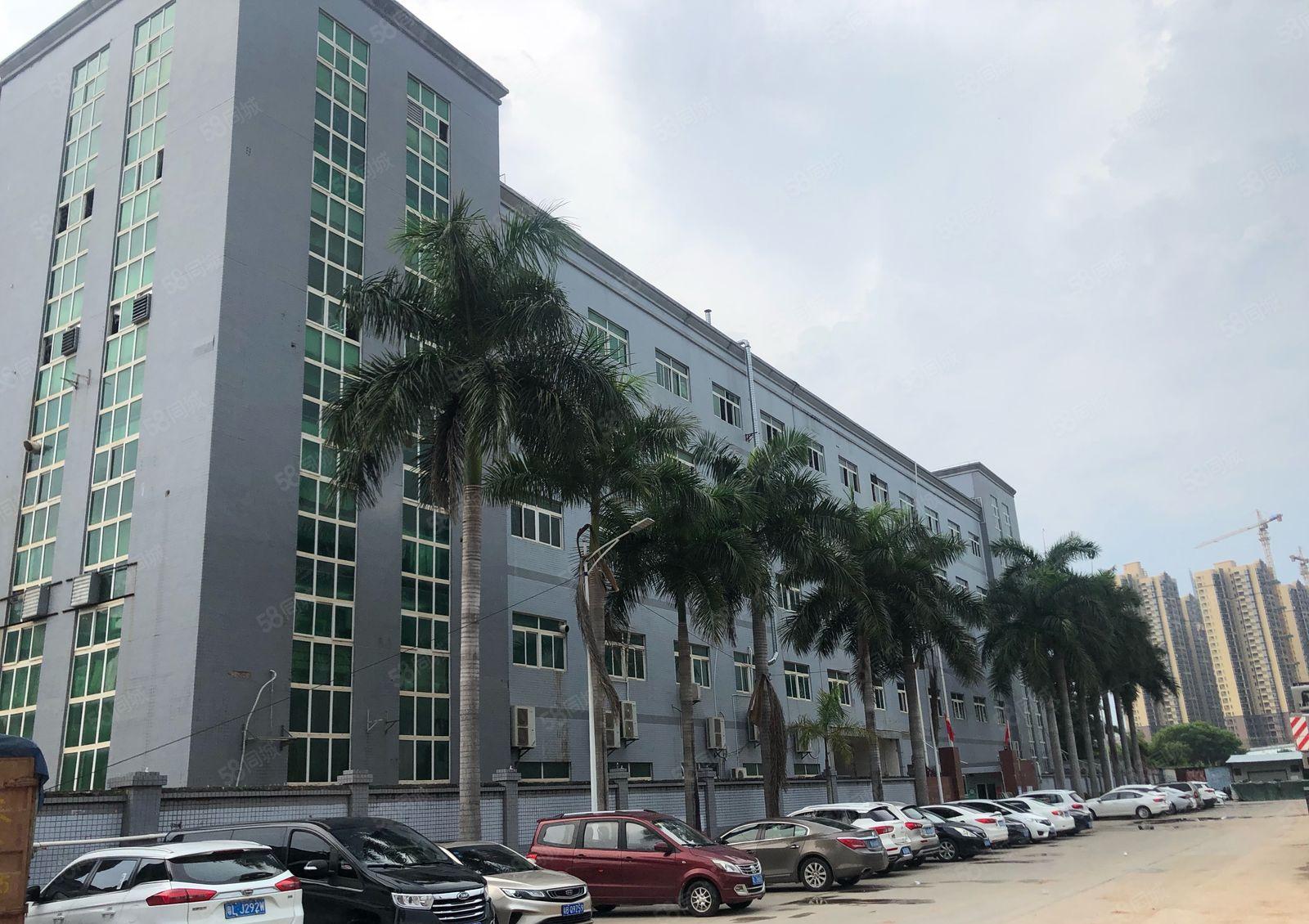 红本厂房，证件齐全，200平起租