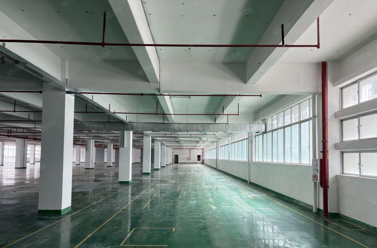 惠阳秋长新出原房东楼上4000平厂房仓库特价出租形象好带装修