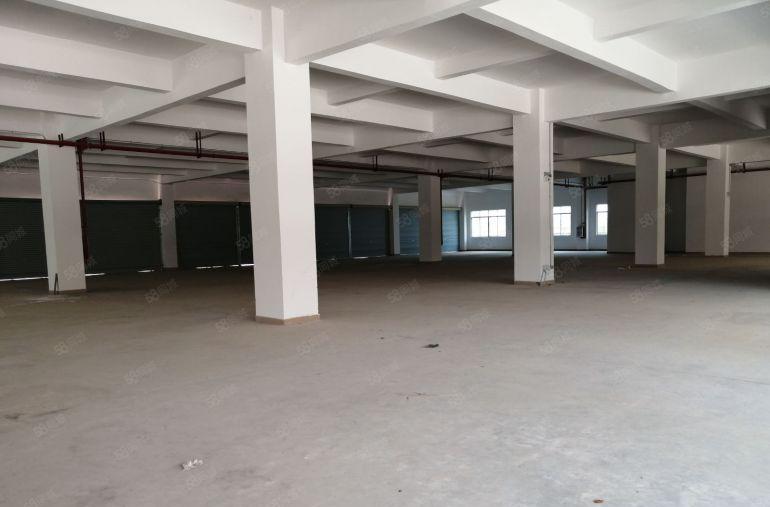 新圩新出原房东实际面积出租6500平米可以分租带消防喷淋