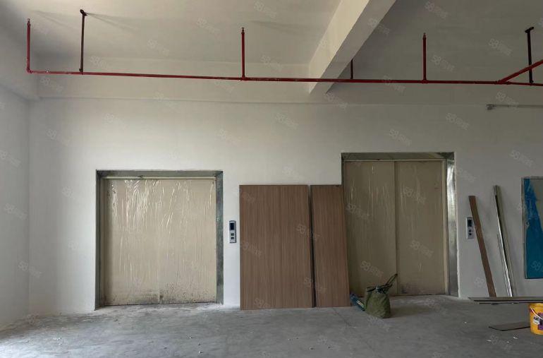 全新临深秋长红本厂房，开发商直租，无公摊