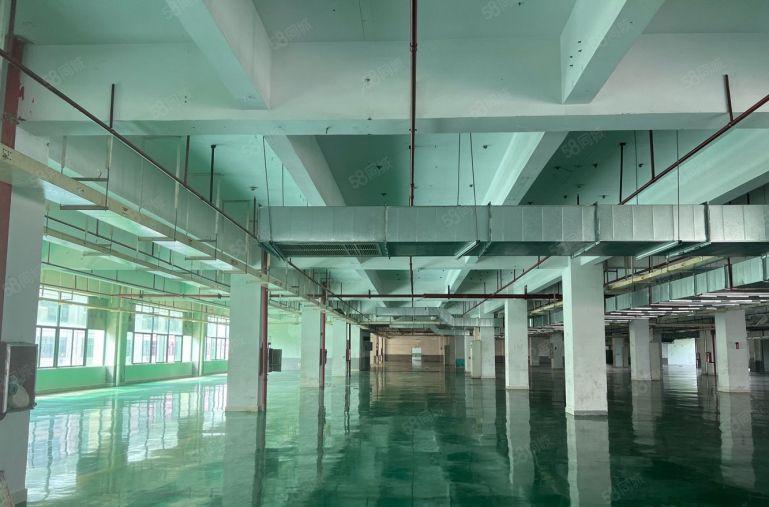 惠阳新出原房东10元厂房仓库低价出租空地大大小可分租证件齐全