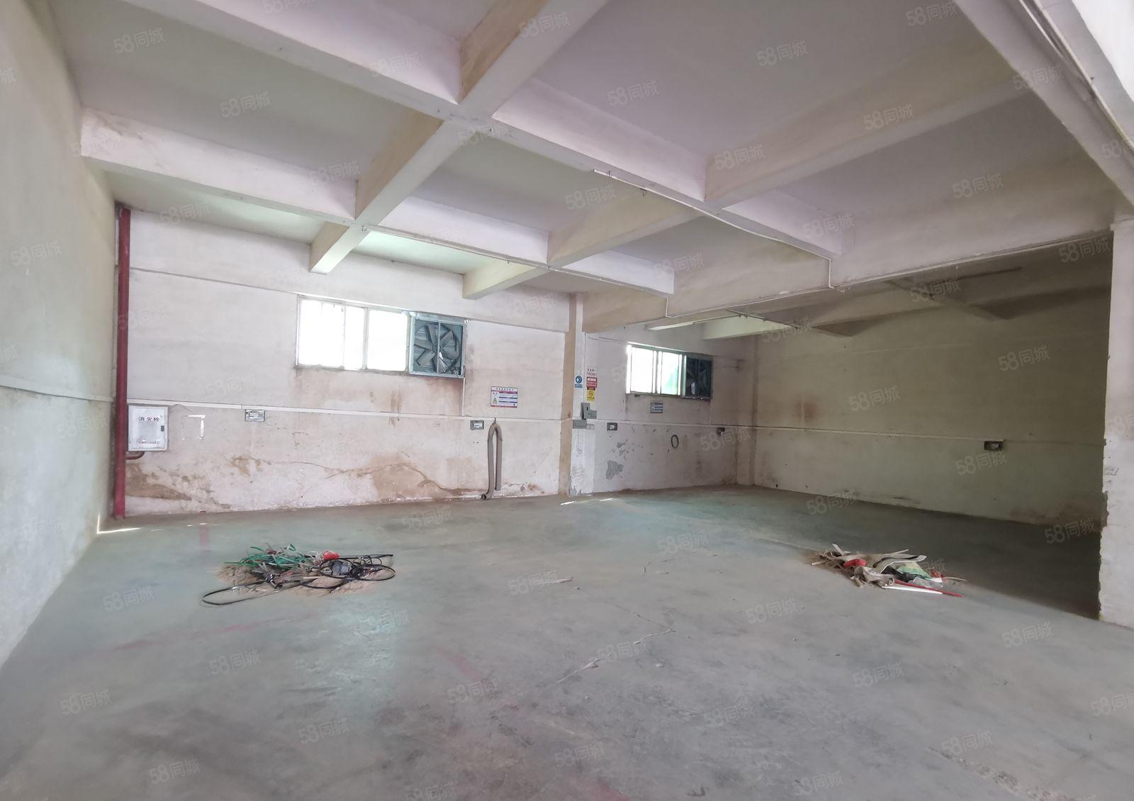 新出红本厂房小面积标准1楼