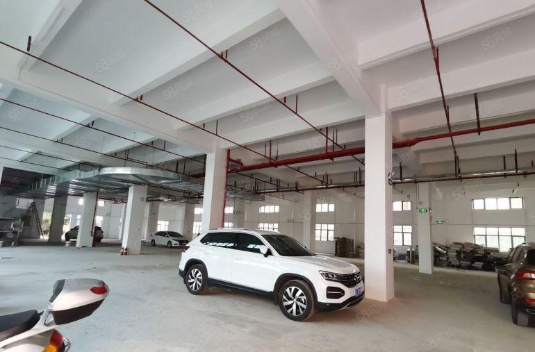 沙田出租工业园标准（厂房4F3300平米）低价8元